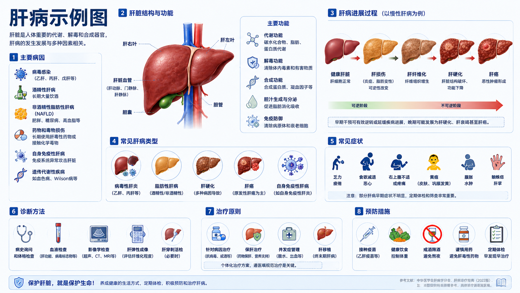 肝病示例图:结构与病程图解
